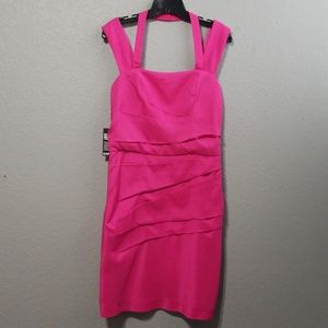 Hot pink Express Dress